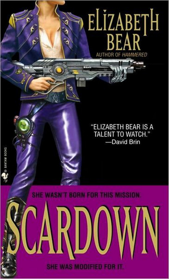 Scardown by Elizabeth Bear